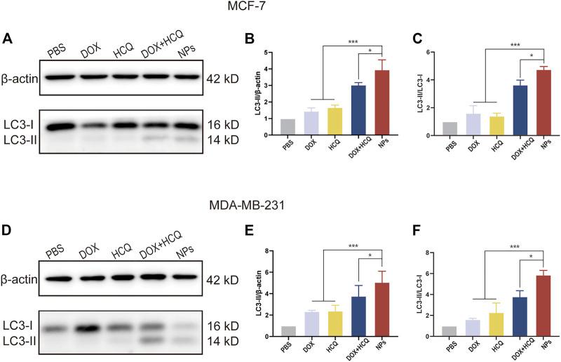 https://cdn.ncbi.nlm.nih.gov/pmc/blobs/0088/10203398/6b501011701d/fphar-14-1176232-g008.jpg