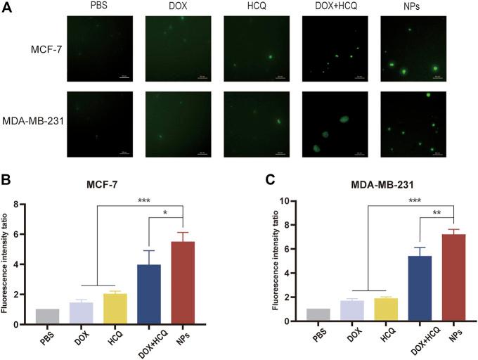 https://cdn.ncbi.nlm.nih.gov/pmc/blobs/0088/10203398/f99629e3d6d9/fphar-14-1176232-g009.jpg