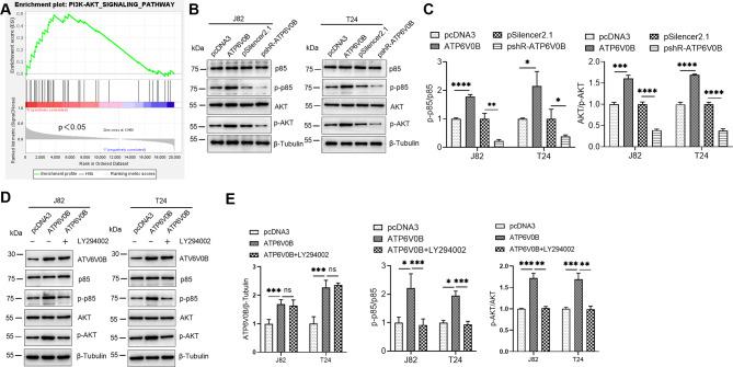 https://cdn.ncbi.nlm.nih.gov/pmc/blobs/0088/12036214/29878ee8fb71/12885_2025_14183_Fig4_HTML.jpg
