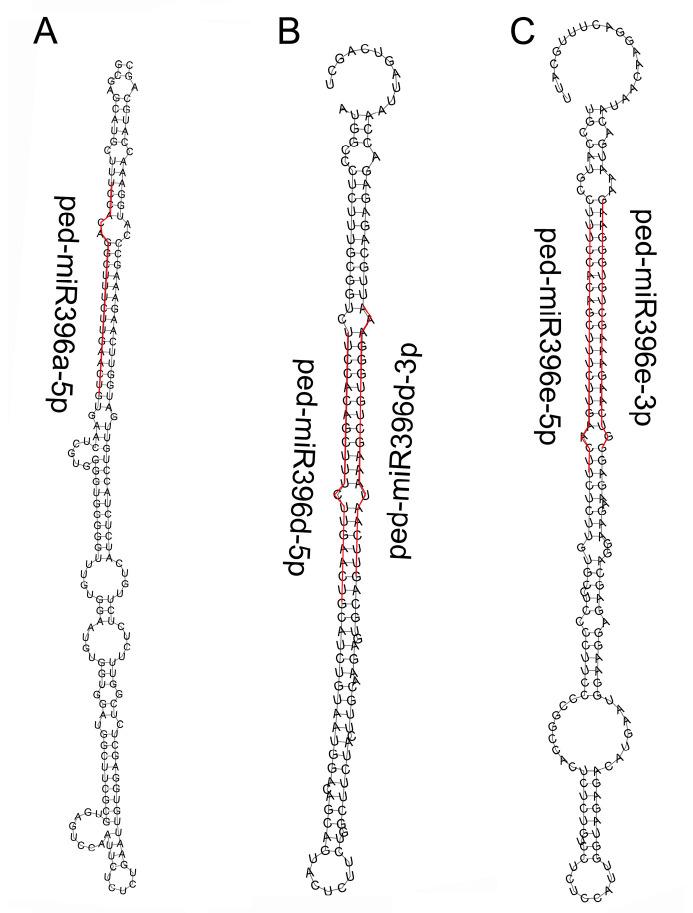 https://cdn.ncbi.nlm.nih.gov/pmc/blobs/008b/10005394/cbf97b71167d/plants-12-01103-g001.jpg