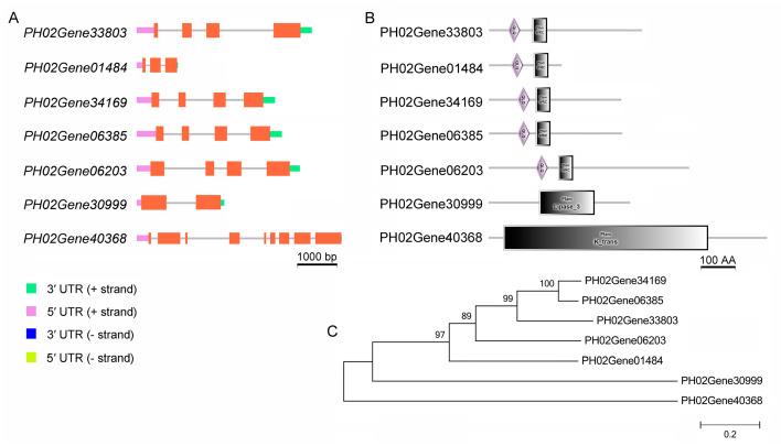 https://cdn.ncbi.nlm.nih.gov/pmc/blobs/008b/10005394/f13a920e998b/plants-12-01103-g004.jpg