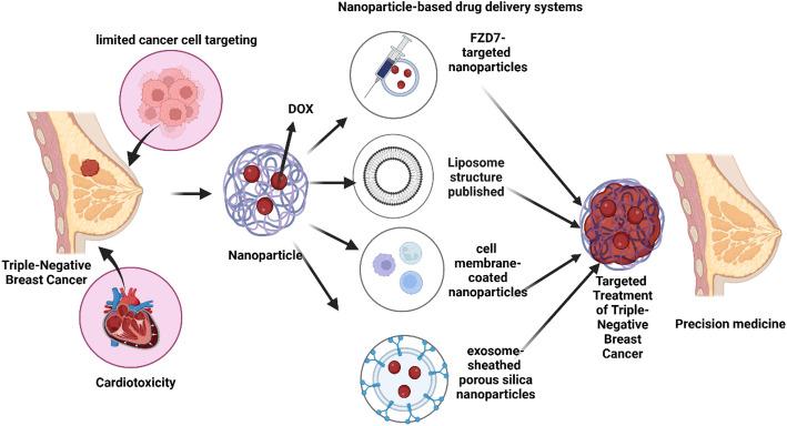https://cdn.ncbi.nlm.nih.gov/pmc/blobs/008b/12259515/992851668411/11671_2025_4308_Fig1_HTML.jpg