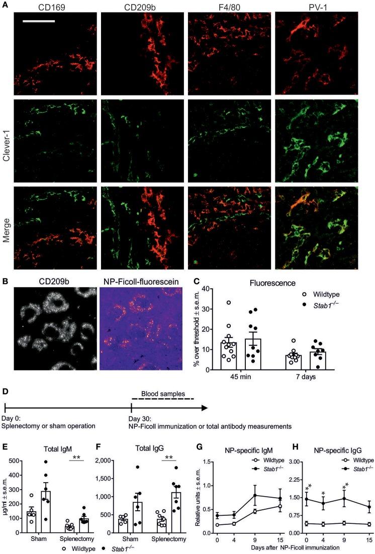 https://cdn.ncbi.nlm.nih.gov/pmc/blobs/008f/6187969/6ff022b91c90/fimmu-09-02257-g0003.jpg