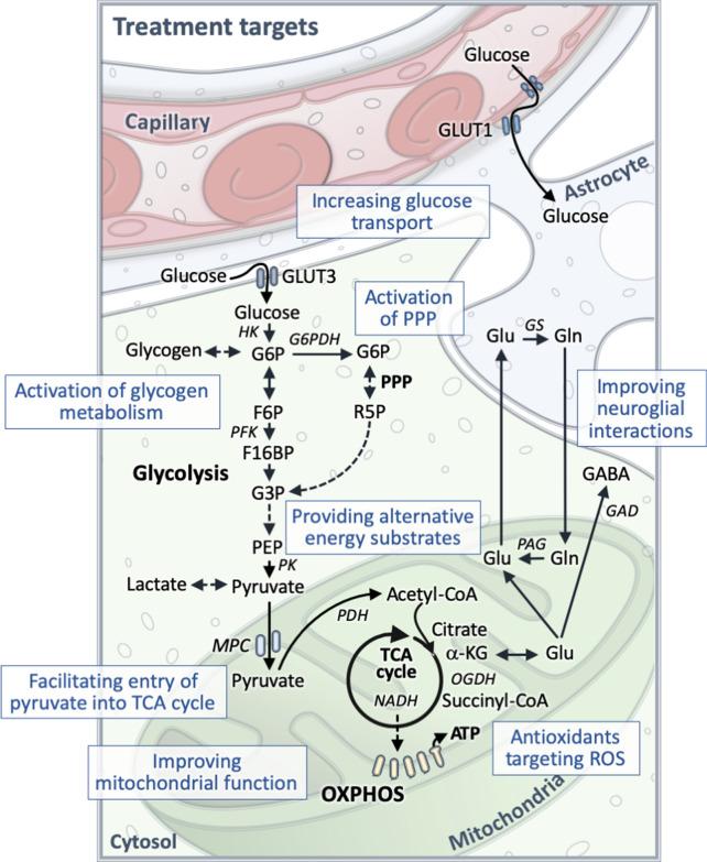 https://cdn.ncbi.nlm.nih.gov/pmc/blobs/0090/7798275/a042e0971692/13578_2020_511_Fig2_HTML.jpg