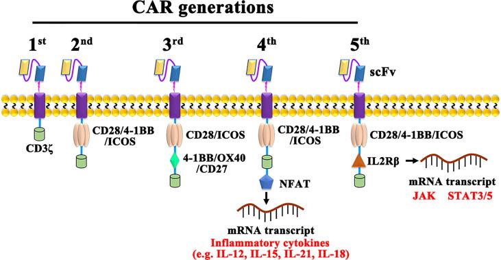 https://cdn.ncbi.nlm.nih.gov/pmc/blobs/0090/9334018/3d06eccf3829/fimmu-13-871661-g002.jpg