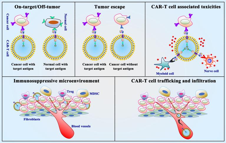 https://cdn.ncbi.nlm.nih.gov/pmc/blobs/0090/9334018/ff3b0840eee3/fimmu-13-871661-g004.jpg