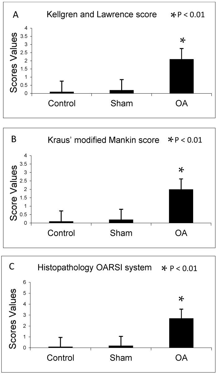 https://cdn.ncbi.nlm.nih.gov/pmc/blobs/0091/4813220/4826e566a74a/ijms-17-00359-g001.jpg