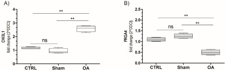 https://cdn.ncbi.nlm.nih.gov/pmc/blobs/0091/4813220/b322f762431b/ijms-17-00359-g006.jpg