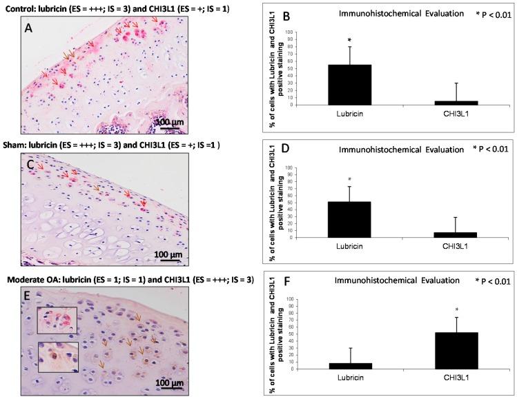 https://cdn.ncbi.nlm.nih.gov/pmc/blobs/0091/4813220/e1c5064264df/ijms-17-00359-g005.jpg