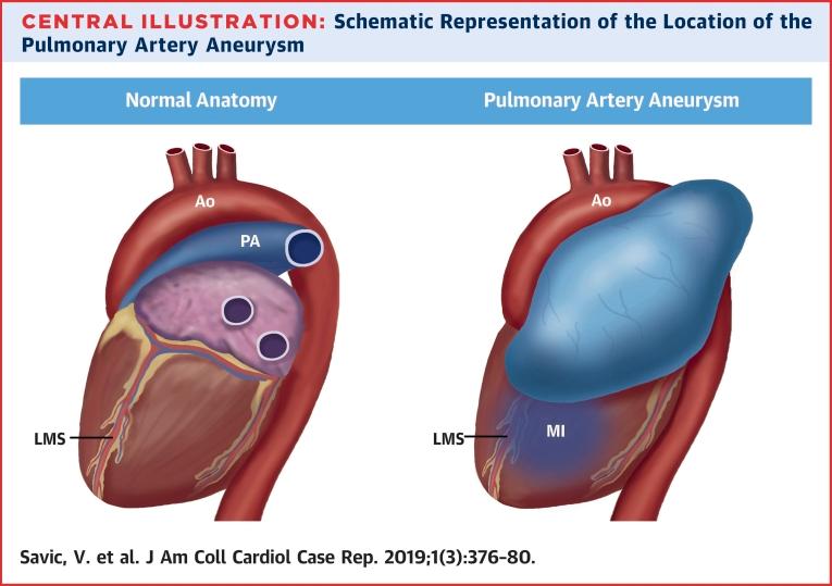 https://cdn.ncbi.nlm.nih.gov/pmc/blobs/0091/8289138/775304de9feb/gr3.jpg