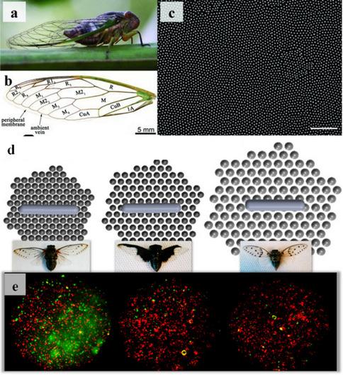 https://cdn.ncbi.nlm.nih.gov/pmc/blobs/0093/12290153/e5fe78414c59/12551_2025_1319_Fig3_HTML.jpg