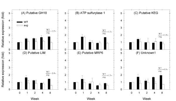 https://cdn.ncbi.nlm.nih.gov/pmc/blobs/0095/2829590/32816236a1e8/1471-2229-10-25-4.jpg