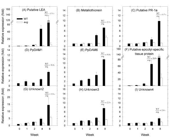 https://cdn.ncbi.nlm.nih.gov/pmc/blobs/0095/2829590/f26b8b79cb58/1471-2229-10-25-5.jpg