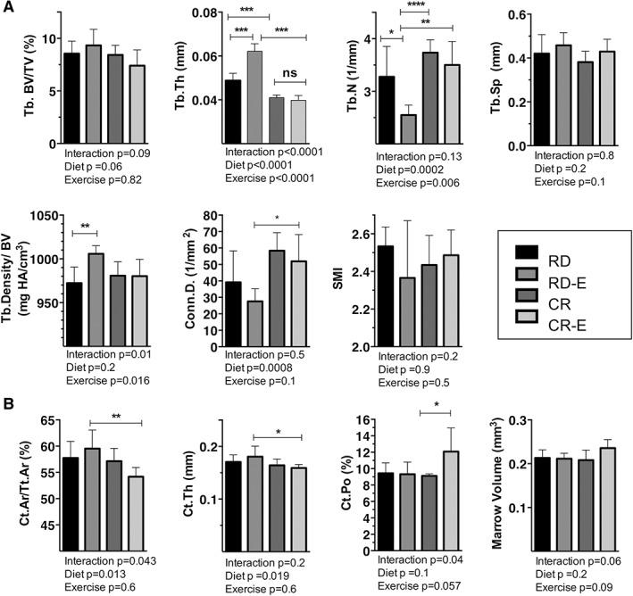 https://cdn.ncbi.nlm.nih.gov/pmc/blobs/0095/7003808/0ccc70b06998/JBMR-35-106-g002.jpg