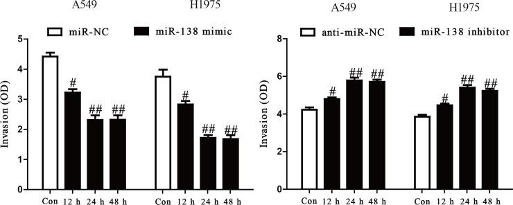 https://cdn.ncbi.nlm.nih.gov/pmc/blobs/0095/7844796/23f4ea455e59/OR-26-385-g003.jpg