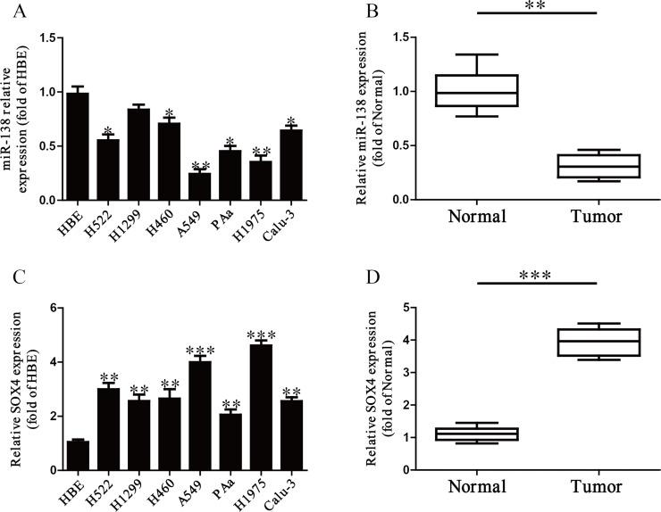 https://cdn.ncbi.nlm.nih.gov/pmc/blobs/0095/7844796/8bb3f1c285a4/OR-26-385-g001.jpg