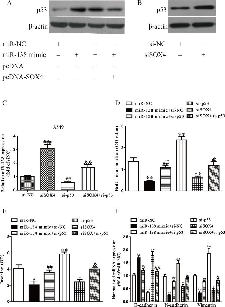 https://cdn.ncbi.nlm.nih.gov/pmc/blobs/0095/7844796/8d55bd6584a7/OR-26-385-g009.jpg