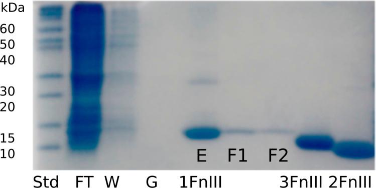 https://cdn.ncbi.nlm.nih.gov/pmc/blobs/0097/5502089/f7b7222d27bc/peerj-05-3550-g002.jpg