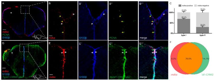 https://cdn.ncbi.nlm.nih.gov/pmc/blobs/0098/8870249/079a24930bd4/brainsci-12-00284-g004.jpg