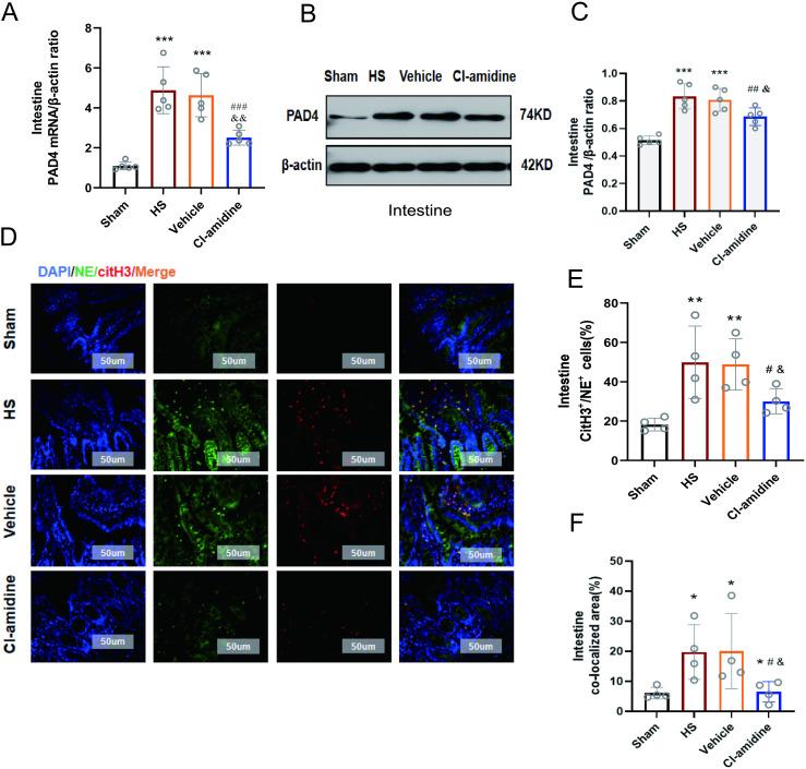 https://cdn.ncbi.nlm.nih.gov/pmc/blobs/0099/12212502/21365b63eb1c/pone.0327085.g006.jpg