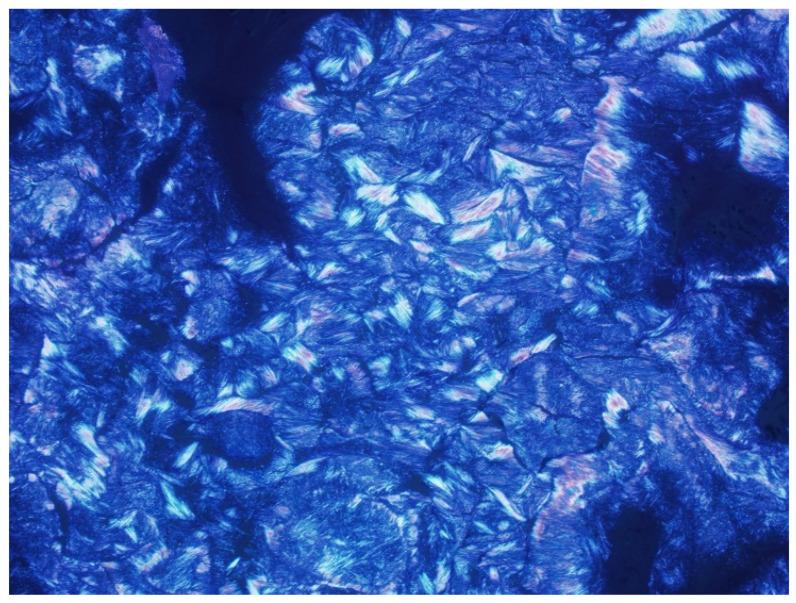 https://cdn.ncbi.nlm.nih.gov/pmc/blobs/009b/8745871/3e6ca1225130/jcm-11-00166-g001.jpg