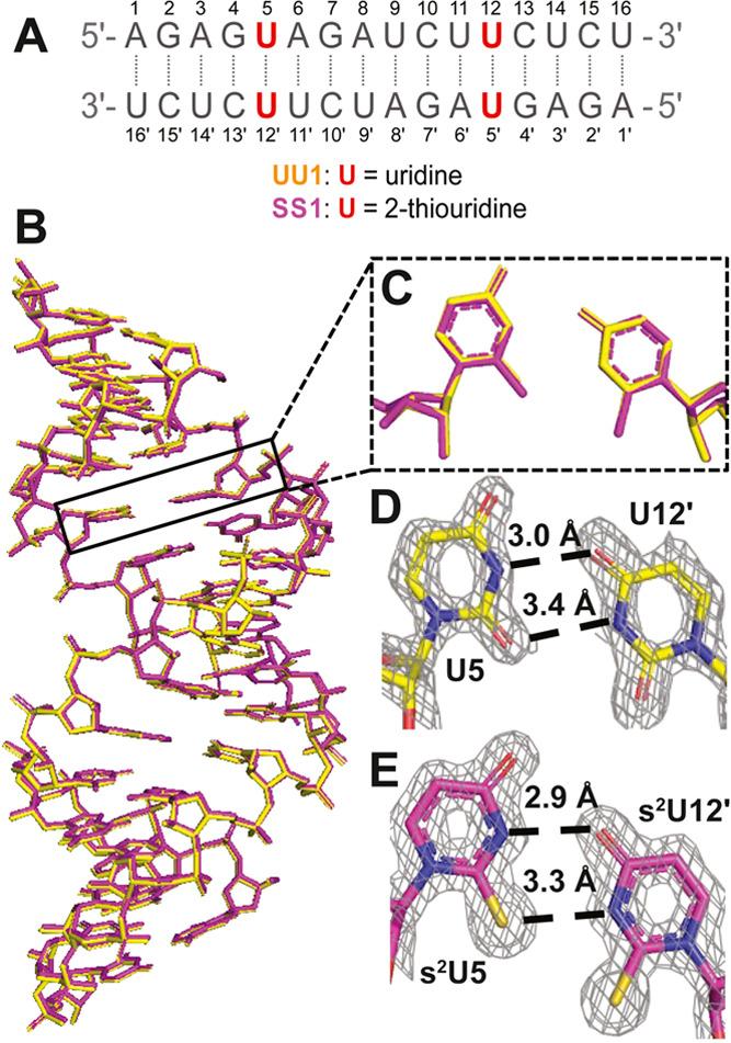 https://cdn.ncbi.nlm.nih.gov/pmc/blobs/009d/10870715/28849f696564/ja3c11158_0001.jpg