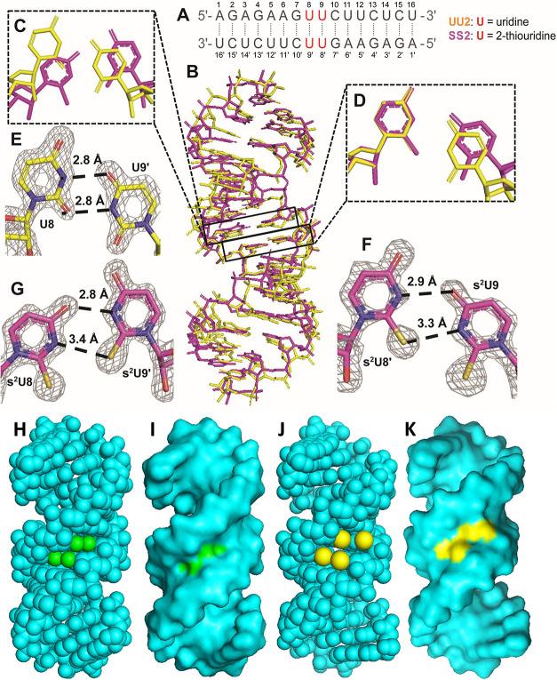https://cdn.ncbi.nlm.nih.gov/pmc/blobs/009d/10870715/8f4bbcac4194/ja3c11158_0002.jpg
