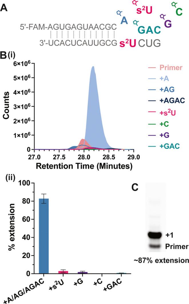 https://cdn.ncbi.nlm.nih.gov/pmc/blobs/009d/10870715/f96c74885cfe/ja3c11158_0005.jpg