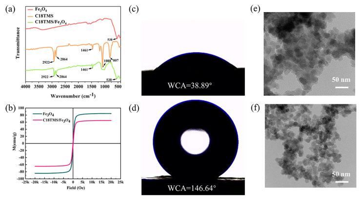 https://cdn.ncbi.nlm.nih.gov/pmc/blobs/009e/11644635/259ab10276ec/polymers-16-03256-g004.jpg