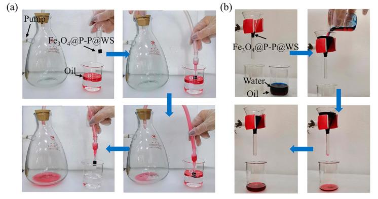 https://cdn.ncbi.nlm.nih.gov/pmc/blobs/009e/11644635/3da783aaacc4/polymers-16-03256-g011.jpg