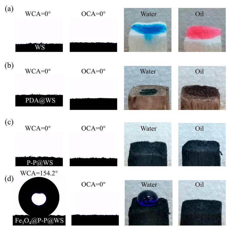 https://cdn.ncbi.nlm.nih.gov/pmc/blobs/009e/11644635/f84ddf1f2f28/polymers-16-03256-g006.jpg