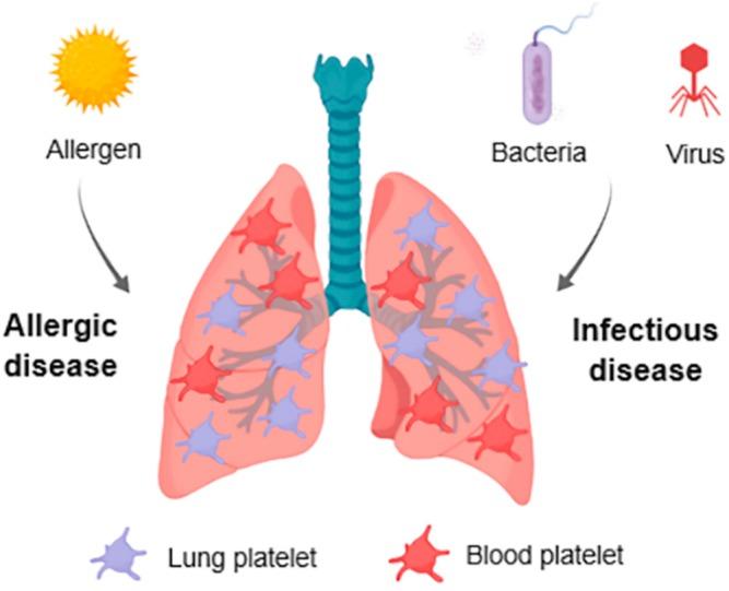 https://cdn.ncbi.nlm.nih.gov/pmc/blobs/009f/6480134/8e9f63de1e67/ijms-20-01730-g001.jpg
