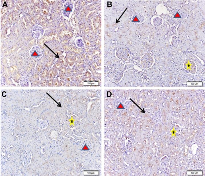 https://cdn.ncbi.nlm.nih.gov/pmc/blobs/00a0/6719478/bd7cd55998a7/10.1177_1559325819871755-fig6.jpg
