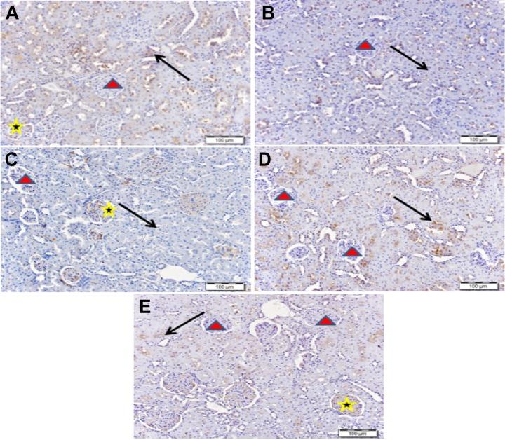 https://cdn.ncbi.nlm.nih.gov/pmc/blobs/00a0/6719478/ffd3081c5350/10.1177_1559325819871755-fig5.jpg