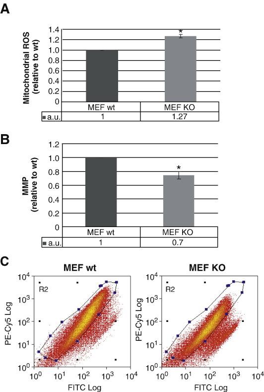 https://cdn.ncbi.nlm.nih.gov/pmc/blobs/00a1/3063334/32b8fdc6e4a1/gr1.jpg