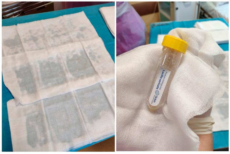 https://cdn.ncbi.nlm.nih.gov/pmc/blobs/00a1/8834952/a2cd4aa130f1/ijerph-19-01338-g008.jpg