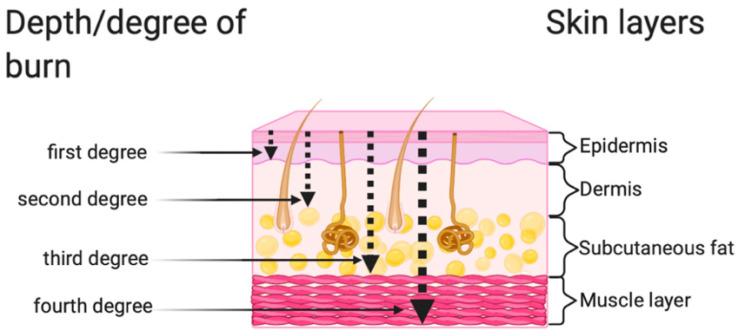 https://cdn.ncbi.nlm.nih.gov/pmc/blobs/00a1/8834952/c837e0690e82/ijerph-19-01338-g001.jpg