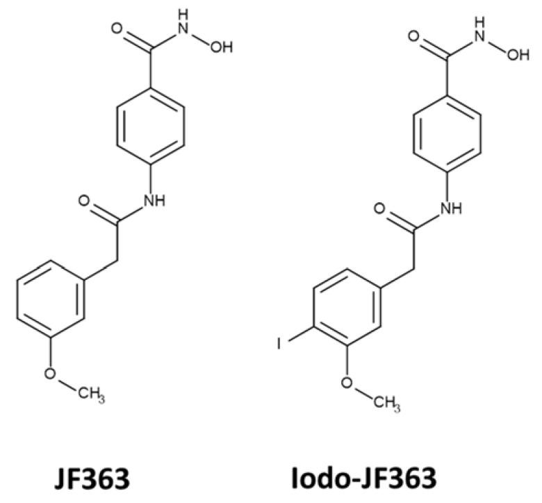 https://cdn.ncbi.nlm.nih.gov/pmc/blobs/00a1/8952293/9eba1d2f1201/ijms-23-03254-g008.jpg