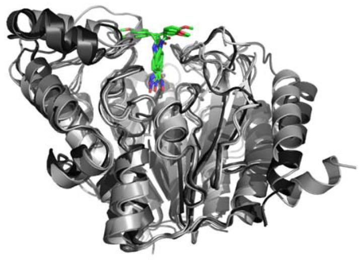 https://cdn.ncbi.nlm.nih.gov/pmc/blobs/00a1/8952293/cf5846ff7707/ijms-23-03254-g007.jpg