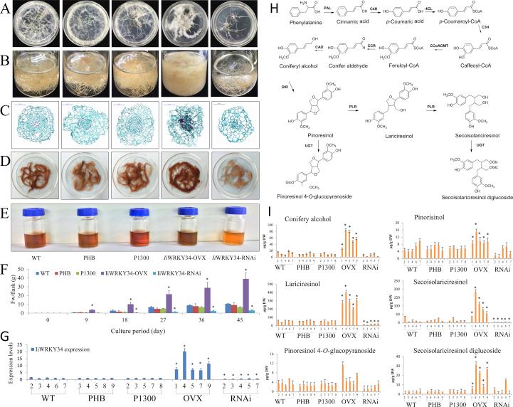 https://cdn.ncbi.nlm.nih.gov/pmc/blobs/00a2/7745056/8cb0fb4aff61/gr3.jpg