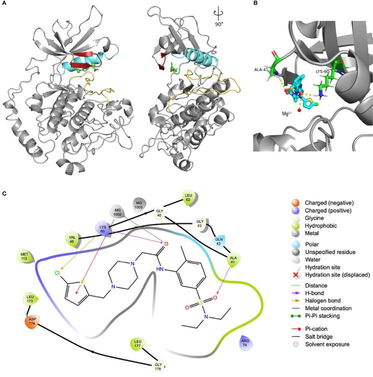 https://cdn.ncbi.nlm.nih.gov/pmc/blobs/00a4/9294739/ad424acbd61f/fcimb-12-913301-g002.jpg