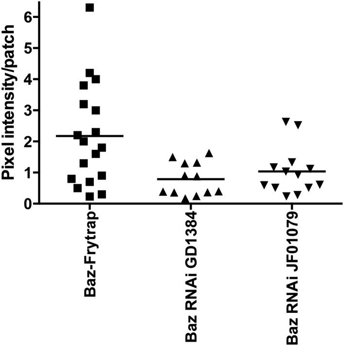 https://cdn.ncbi.nlm.nih.gov/pmc/blobs/00aa/4391501/6797ca873a88/elife04960fs001.jpg