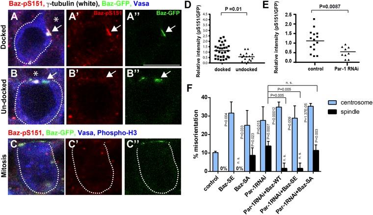 https://cdn.ncbi.nlm.nih.gov/pmc/blobs/00aa/4391501/f6f9f8bcb7c1/elife04960f005.jpg