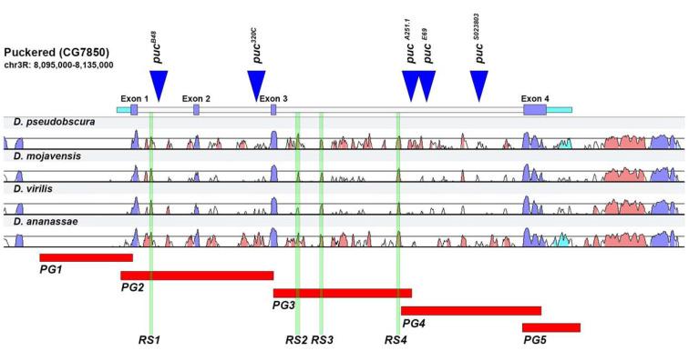 https://cdn.ncbi.nlm.nih.gov/pmc/blobs/00ad/8623796/1d33257a7c66/ijms-22-12205-g001.jpg