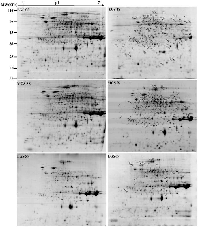 https://cdn.ncbi.nlm.nih.gov/pmc/blobs/00af/3931721/0effe28e5305/pone.0089140.g003.jpg