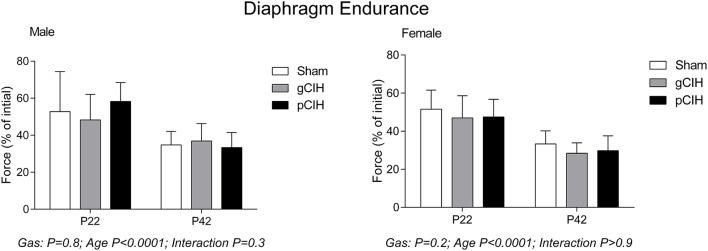 https://cdn.ncbi.nlm.nih.gov/pmc/blobs/00af/4940388/c0a74e9d95b1/fphys-07-00276-g0003.jpg
