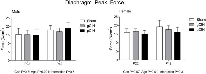 https://cdn.ncbi.nlm.nih.gov/pmc/blobs/00af/4940388/f09ca0e454f3/fphys-07-00276-g0002.jpg
