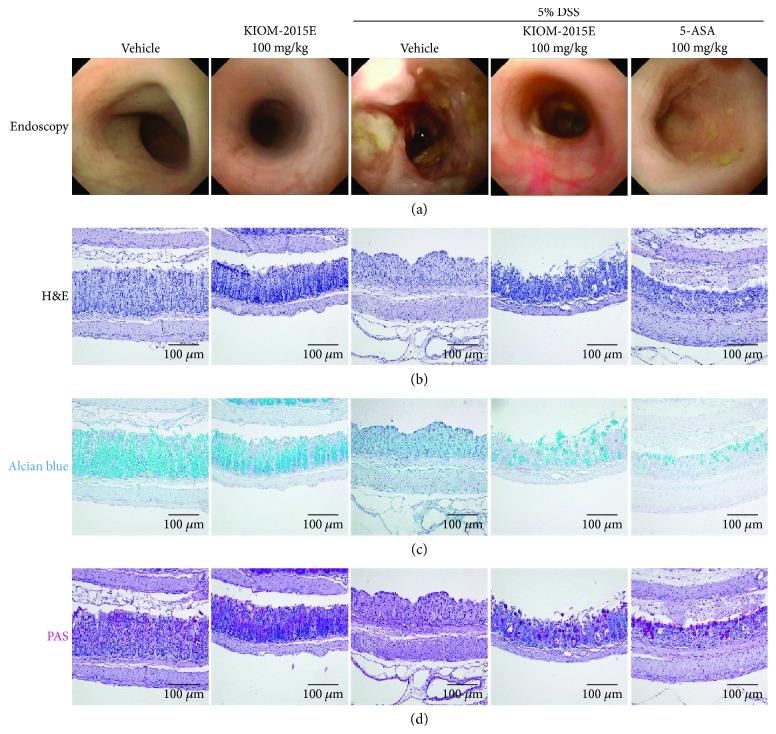 https://cdn.ncbi.nlm.nih.gov/pmc/blobs/00af/6196786/26f37e20ece6/JIR2018-5718396.004.jpg
