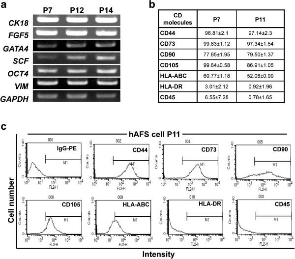 https://cdn.ncbi.nlm.nih.gov/pmc/blobs/00b0/4054934/7c4765fbf232/scrt358-1.jpg