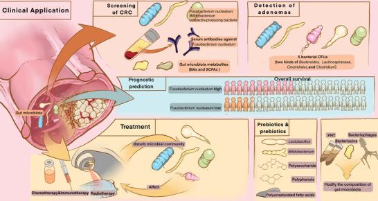 https://cdn.ncbi.nlm.nih.gov/pmc/blobs/00b3/10427379/2c1ddda8608d/ADVS-10-2205563-g003.jpg